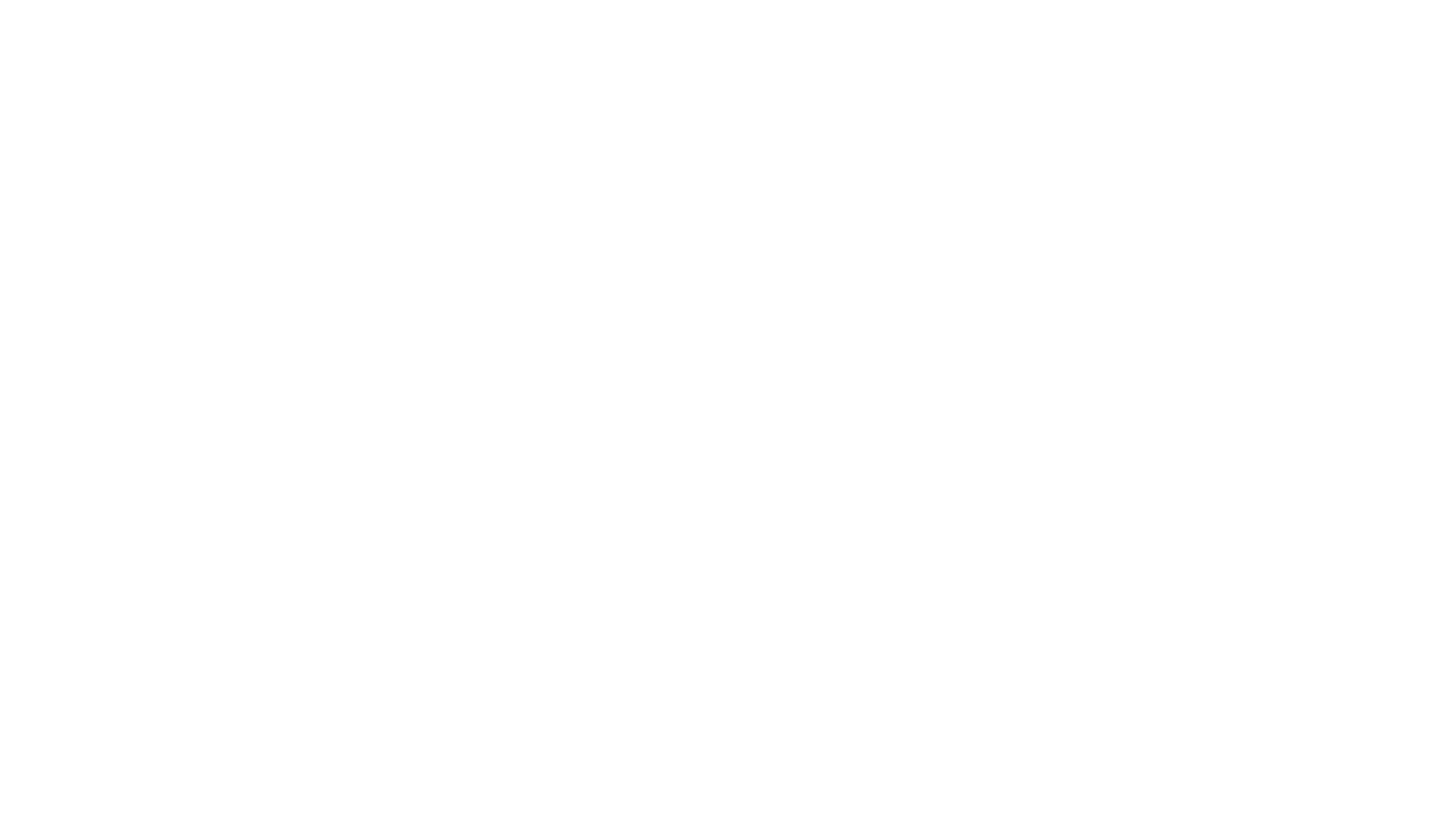 Audit optimization (3)